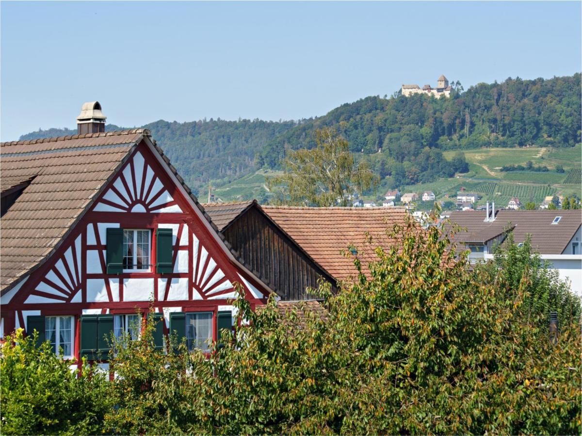 Exklusive 4.5 Zimmer Wohnung Fuer Familien Und Business Eschenz Exterior photo